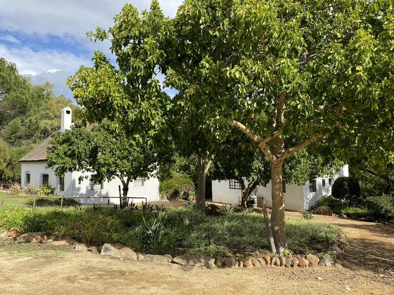 14 Bedroom Property for Sale in Paarl Western Cape